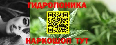 скорость Гусь-Хрустальный